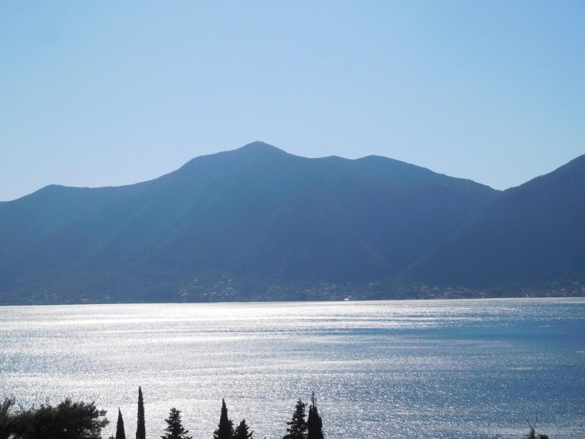 Villa Aronija Cattaro Esterno foto