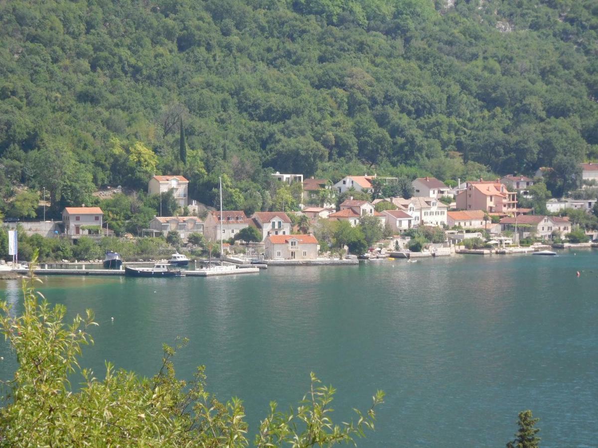 Villa Aronija Cattaro Esterno foto