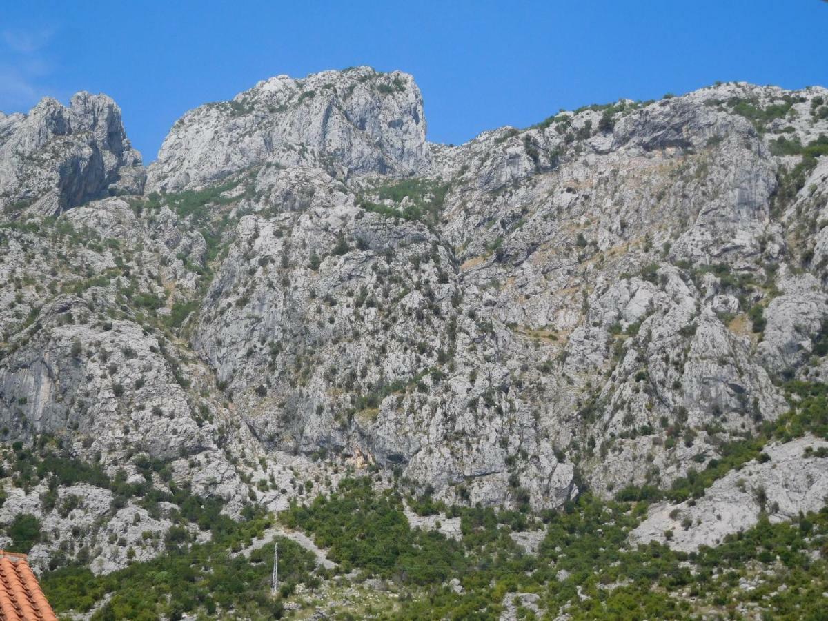 Villa Aronija Cattaro Esterno foto