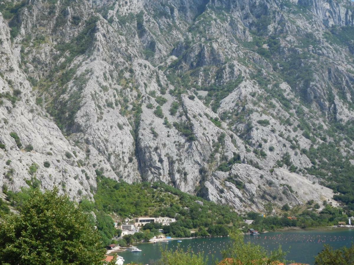 Villa Aronija Cattaro Esterno foto