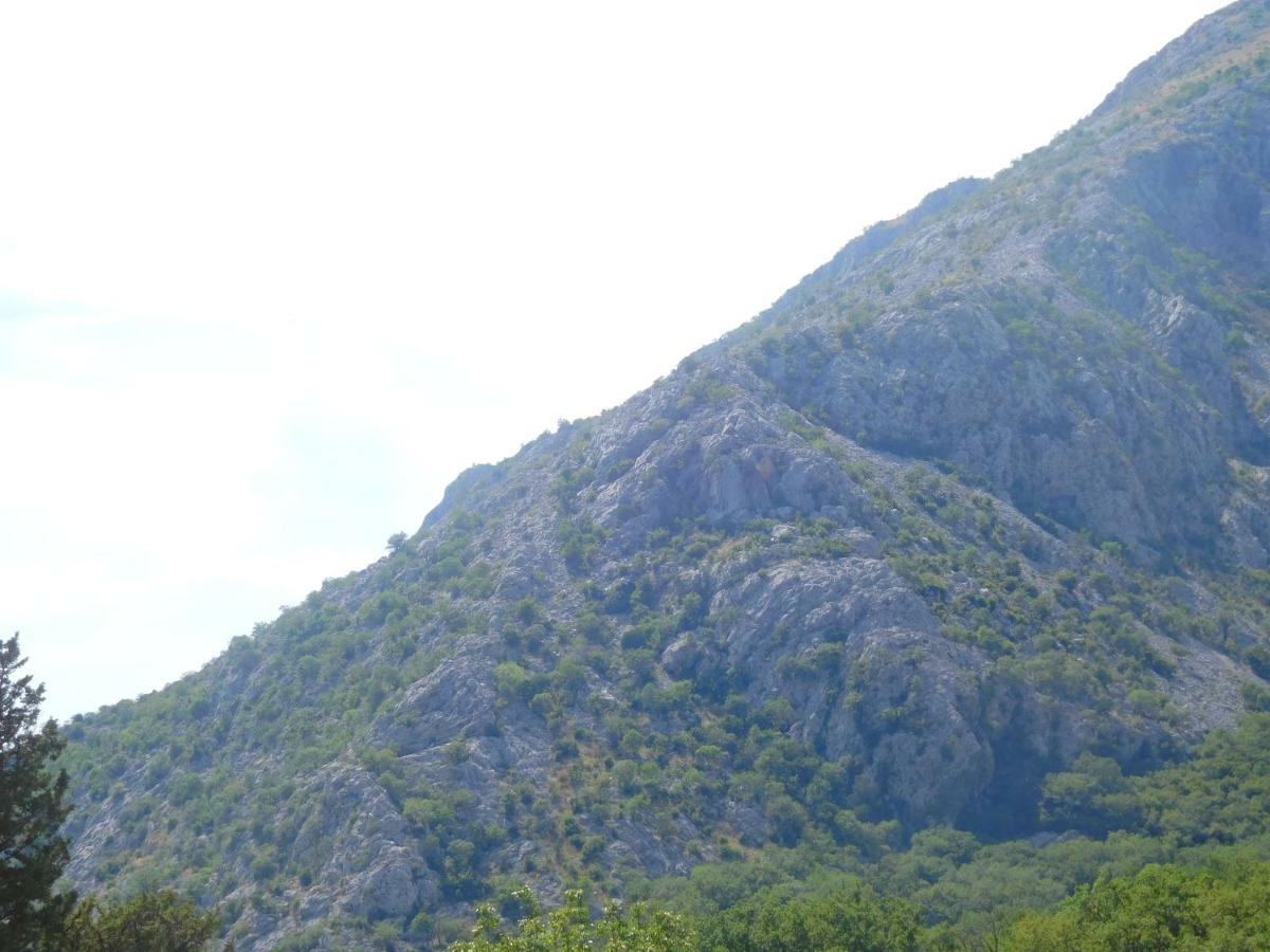 Villa Aronija Cattaro Esterno foto