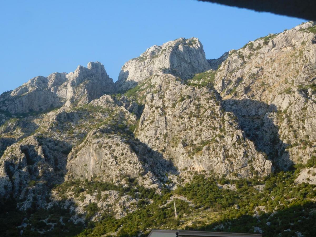 Villa Aronija Cattaro Esterno foto